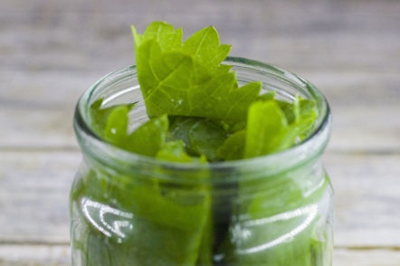 وضعت في وعاء من الخيار