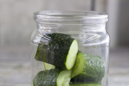 Поставяне на краставици