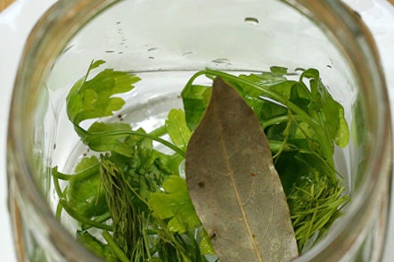 билки в буркан