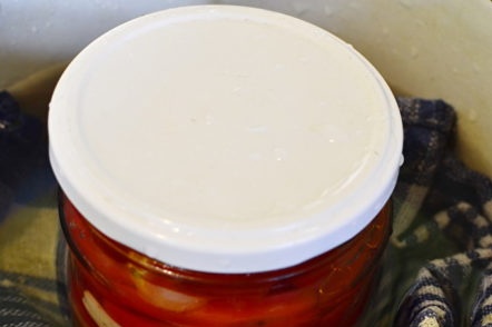 pot l'esterilització