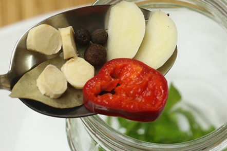 doe kruiden in een pot