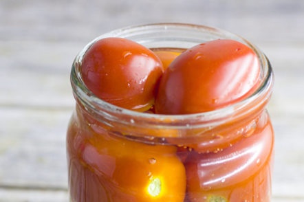 giet tomaten