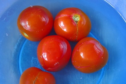 tomaten bereiden