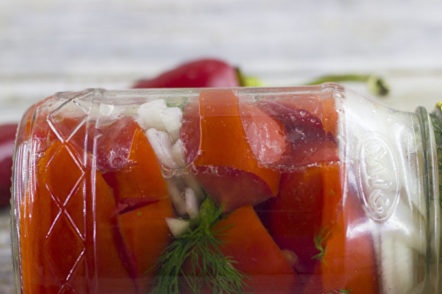 събиране на домати за зимата