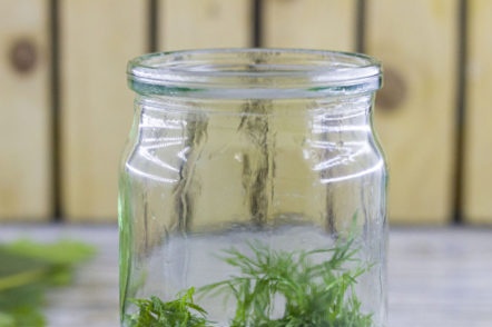 garlic and herbs on the bottom of the jar
