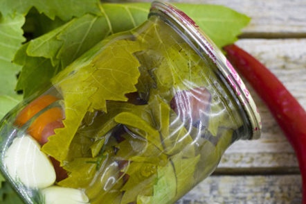preparation for the winter of tomatoes and grape leaves