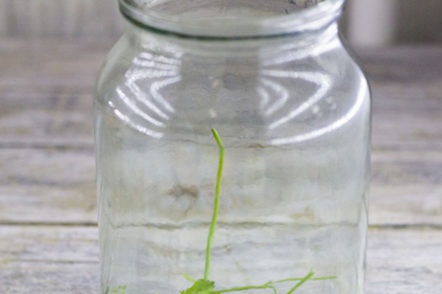 подправки в буркан