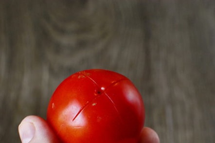 tomaten bereiden