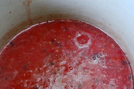 doe de tomaten in de pan