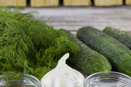 продукти за ецване