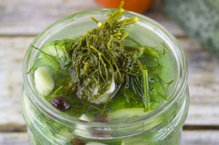 ние попълваме банките