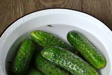 моите краставици