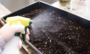 Дезинфекция на почвата