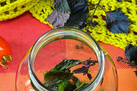 босилек в буркан