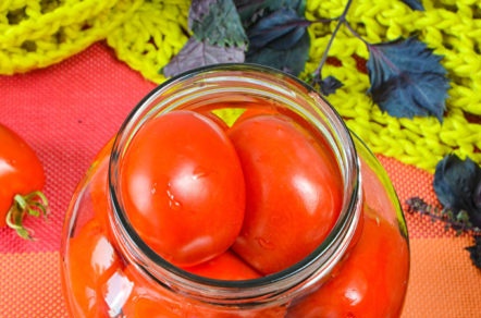 домати в банката