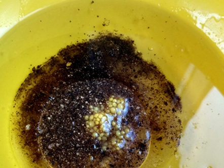 добавете горчица