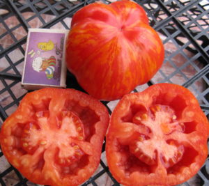 Кухи сортове