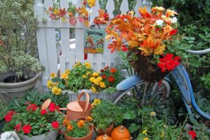 работи с цветя през октомври