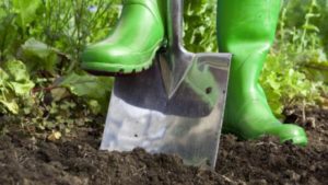 Работи в цветната градина през октомври