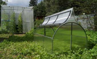 Polycarbonate greenhouses with opening top do it yourself: drawings, photos, reviews