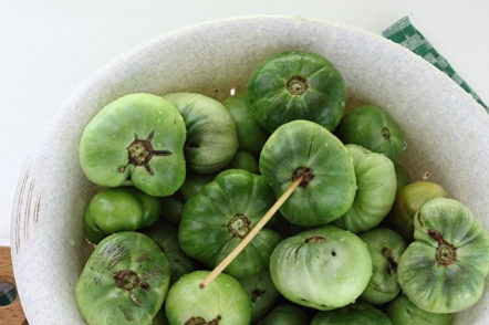 إعداد الطماطم