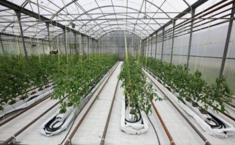 heating greenhouses in winter