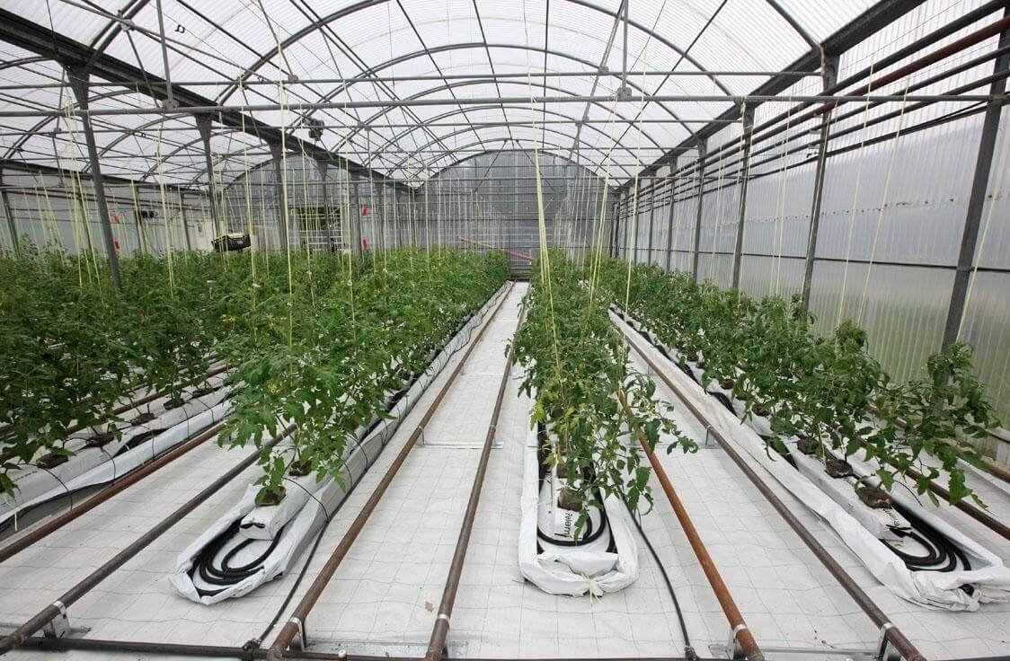heating greenhouses in winter