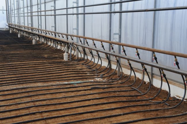 heating greenhouses in winter