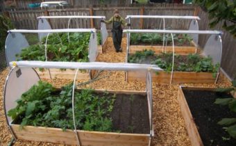 greenhouse in the country