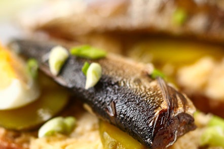 цаца и сандвич с яйца