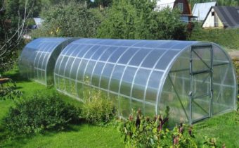 choose a place for the greenhouse