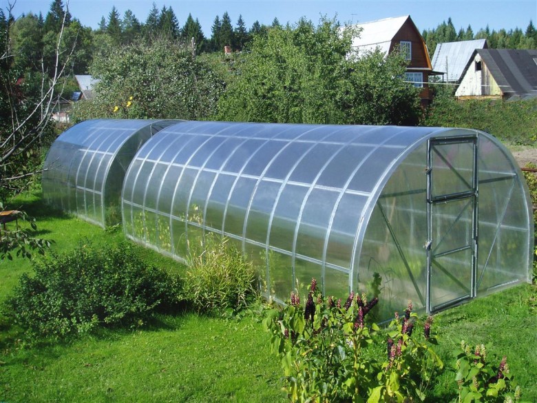 choose a place for the greenhouse