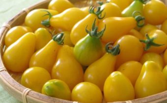 millors qualificacions