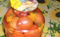 tomàquets per a l’hivern