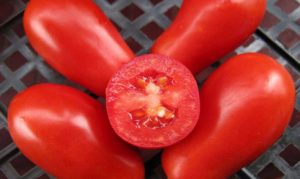 Moskovská pochúťka