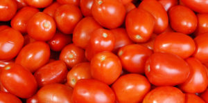 Barnaulské konzervovanie