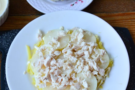 a layer of onions and meat