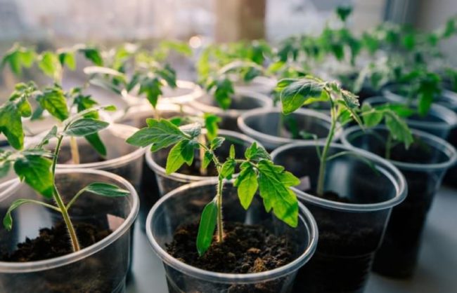 calendari d’aterratge d’abril de 2019