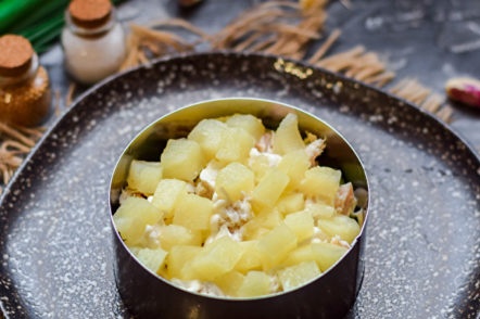 слой от ананас