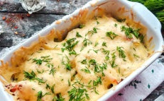 kuracie mäso a cuketa