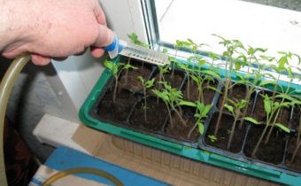 Тор от картофен бульон за разсад