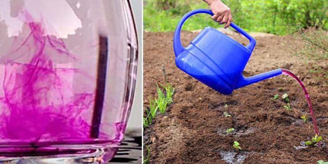 potassium permanganate