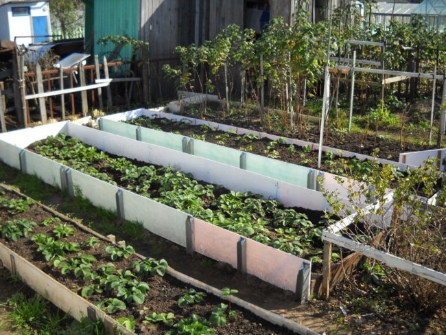 Против на оградени легла в градината