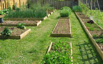 Garden Planning