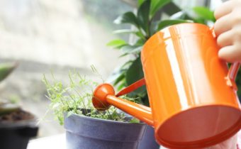 Как да възстановим вътрешните аспирин цветя