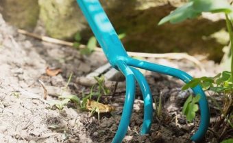 Com afluixar els cogombres