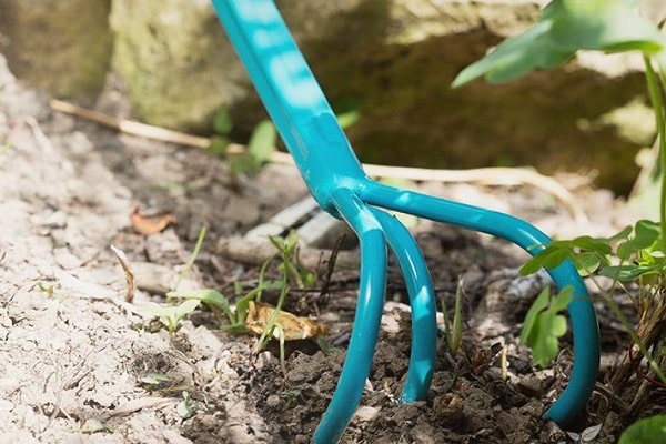 Com afluixar els cogombres