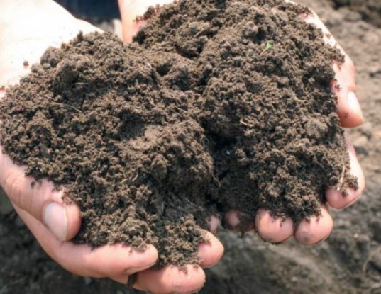 киселинност на почвата