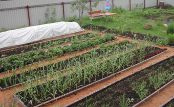 Оградени градини