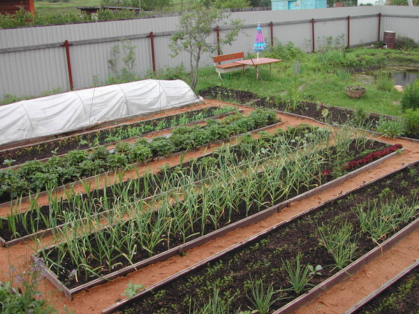 Оградени градини